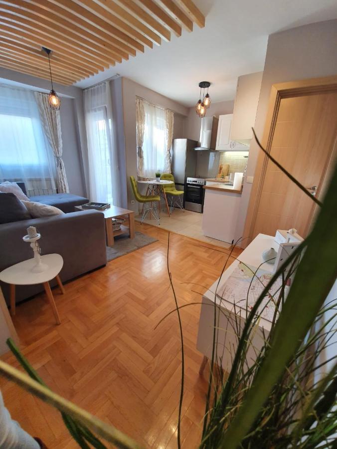Apartment Cerska Mrb Bělehrad Exteriér fotografie